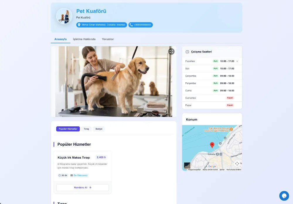 Web Sitesi Şablon Vitrini